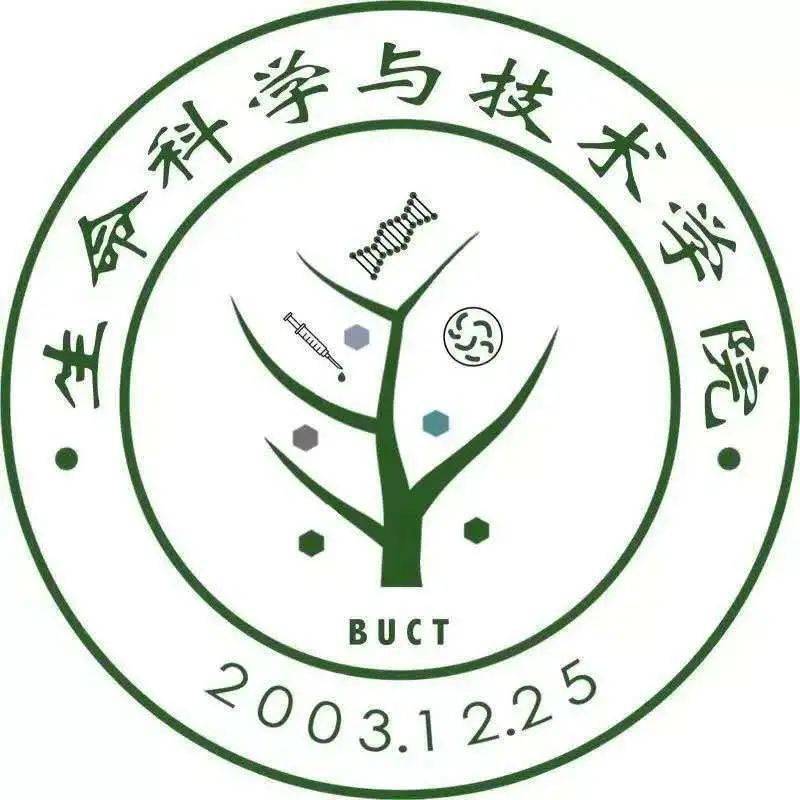 篮球工程师研究新技术，推动篮球发展