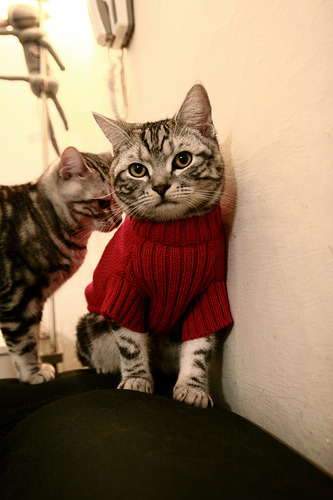 实际上包含了两个不同维度的事件—这本身就是一个有趣的创作切入点。我们可以将它们构思为一场别开生面的世纪跨界友谊赛