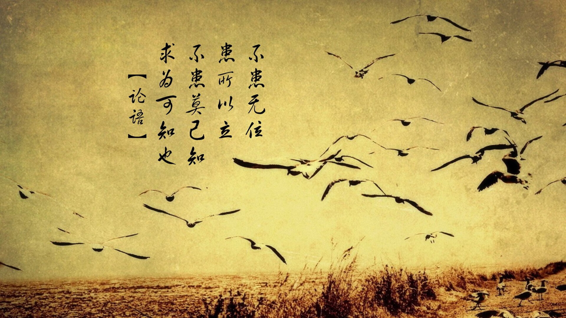 开云APP-拜仁 vs 多特蒙德,欧冠舞台上的秩序守护者与永恒挑战者