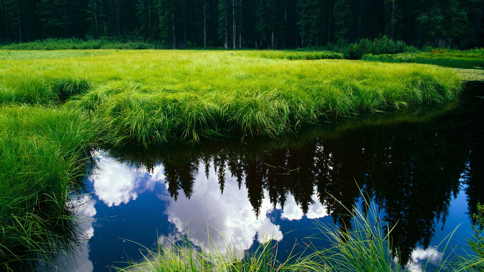 开云体育入口-布克的黄昏独舞,当唯一性在最后一秒显形