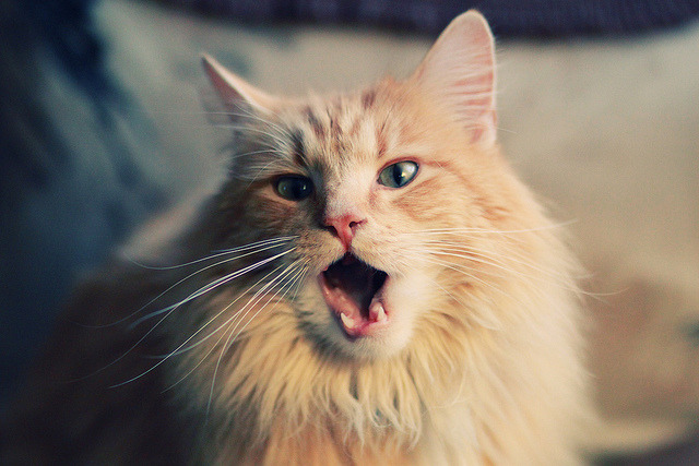 开云体育APP下载-爵士逆转活塞，一场改写历史的唯一胜利