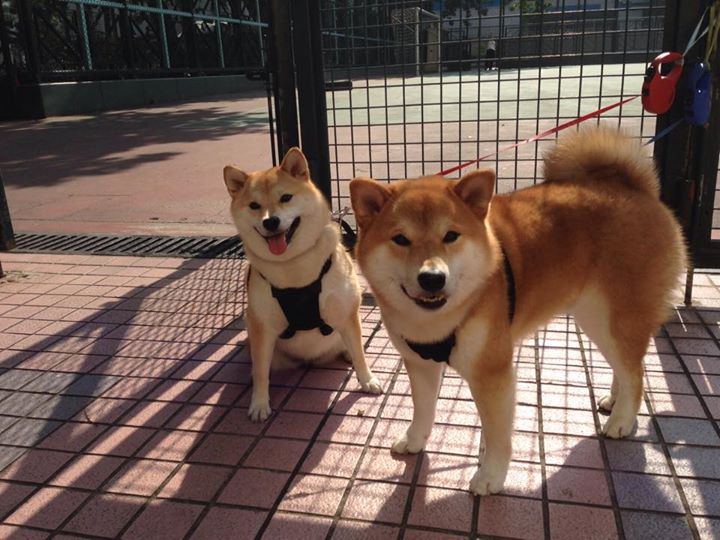 开云体育官网-平行宇宙的班凯罗，关键先生降临，独行侠淘汰快船的奇幻剧本