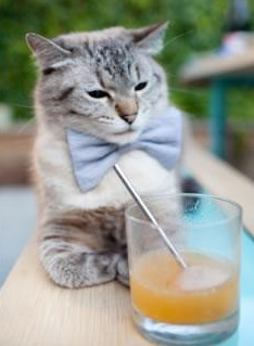 开云体育官网-当希腊诸神在非洲草原倒下，规则颠覆者如何重写足球圣经