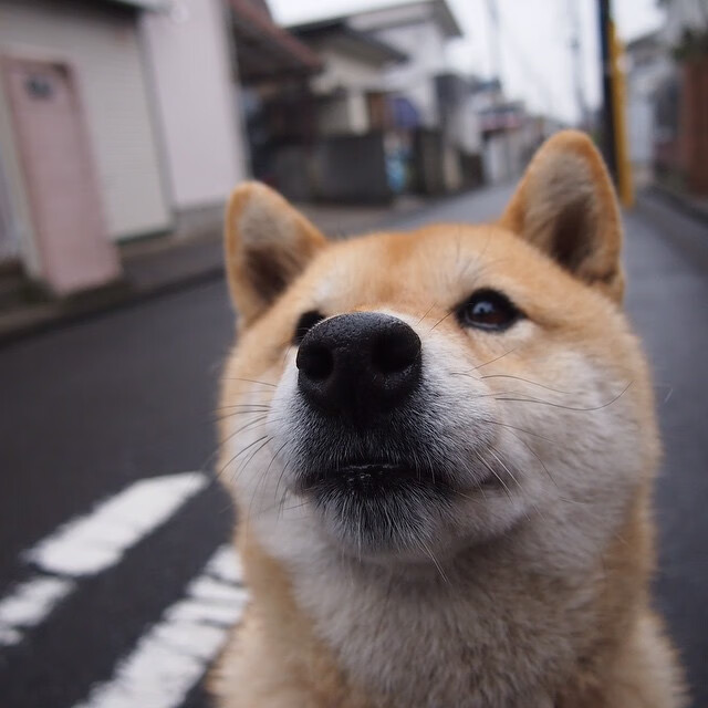 开云体育入口-唯一性，当热火的团队火焰遇上戈贝尔的个人冰川