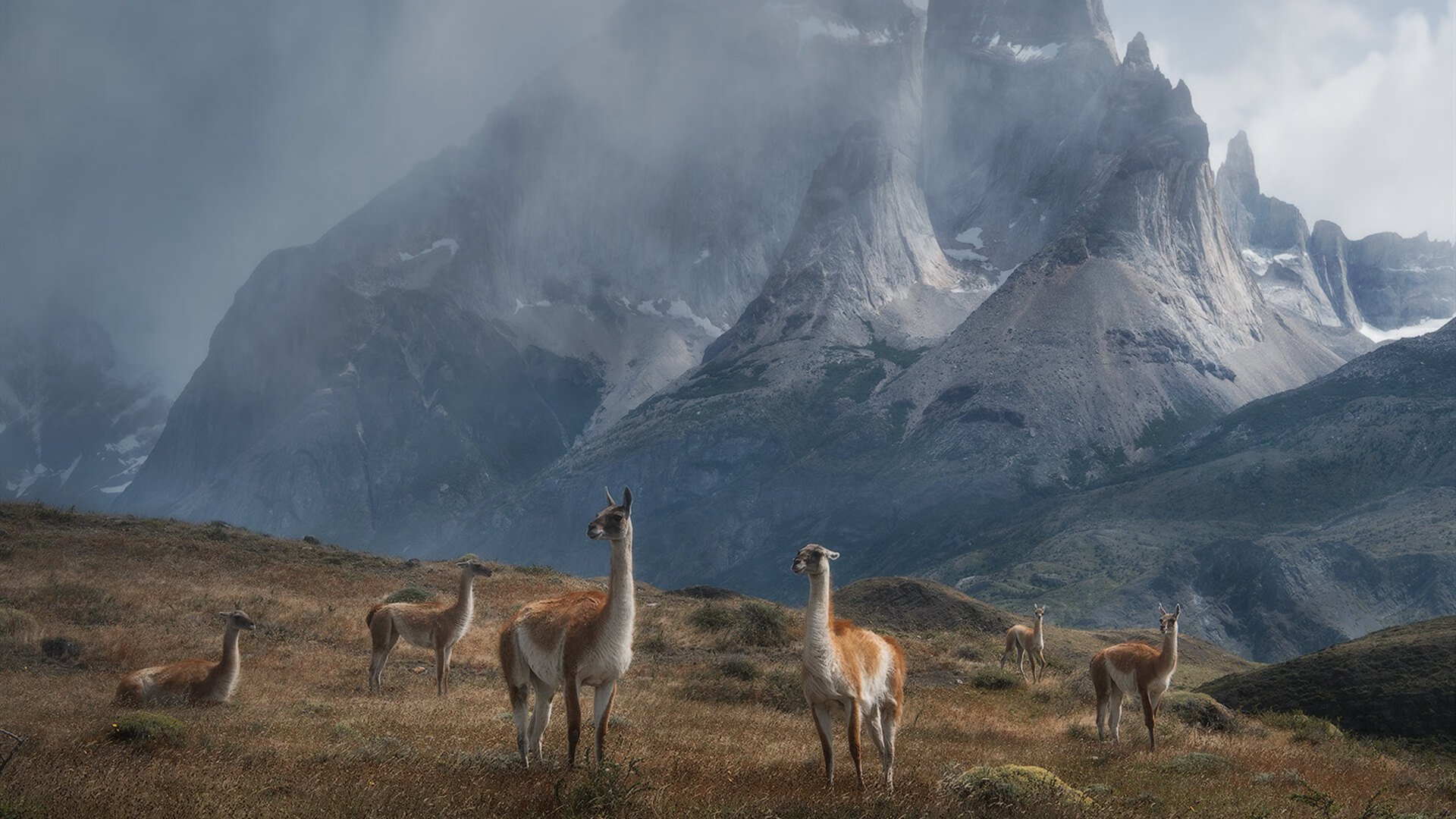 战术智慧与个人闪耀,快船压制奇才,意甲赛场再现西亚卡姆式统治