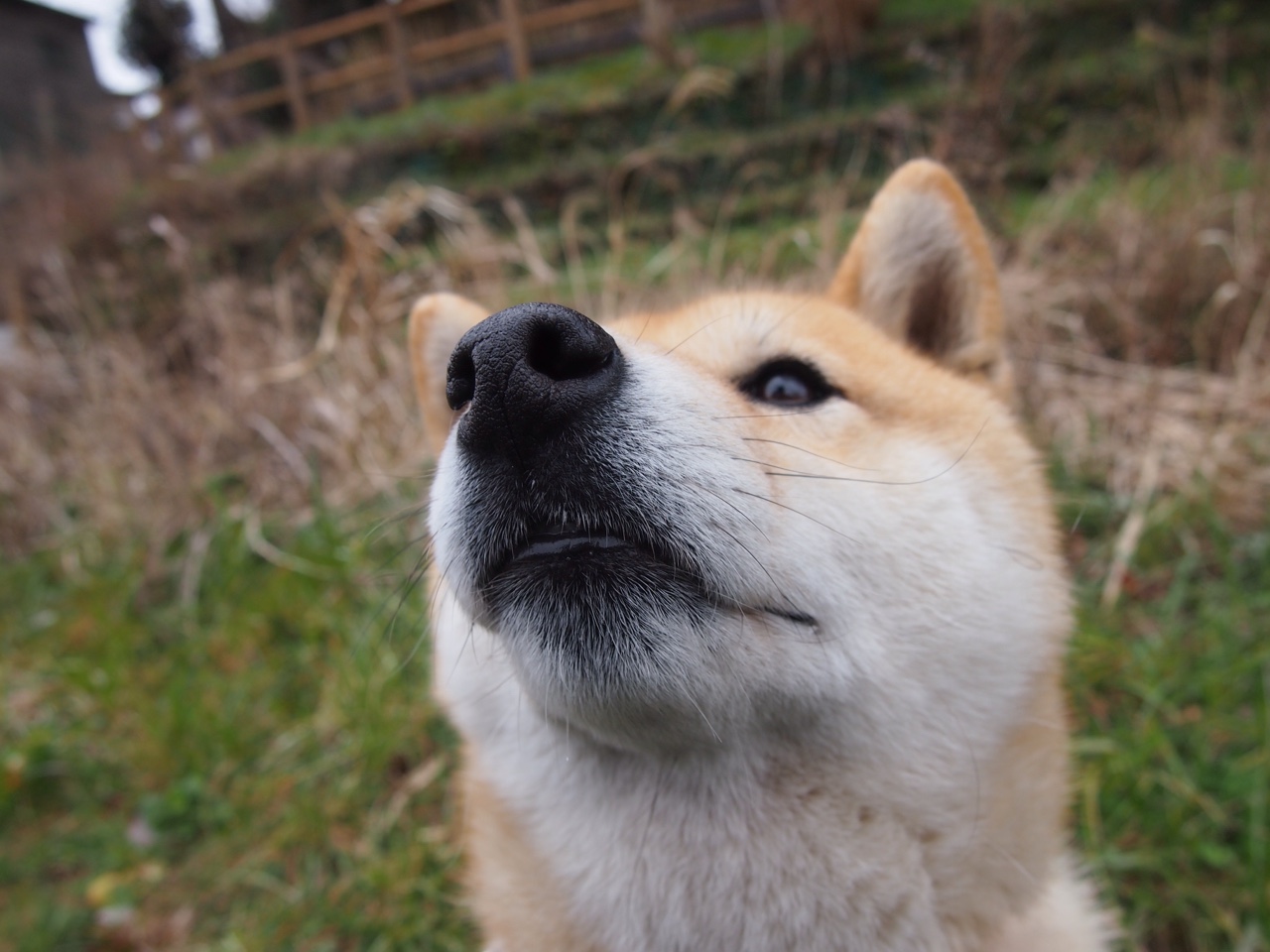 开云体育中国-钢铁骑士封锁孤城,天降巨人破晓—文班亚马的破局者之夜