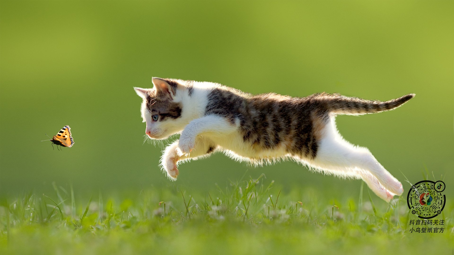 开云官网-绿茵孤峰,当孔德撕裂天际线,乌拉圭如何将伊拉克钉上战术解剖台