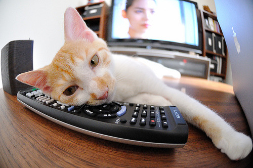 霍勒迪,夜战之王,在都市霓虹的刀锋上独舞