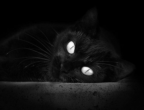 开云sport-德布劳内一役封神，切尔西血拼阿尔及利亚之战，如何改写世界足球权力版图？