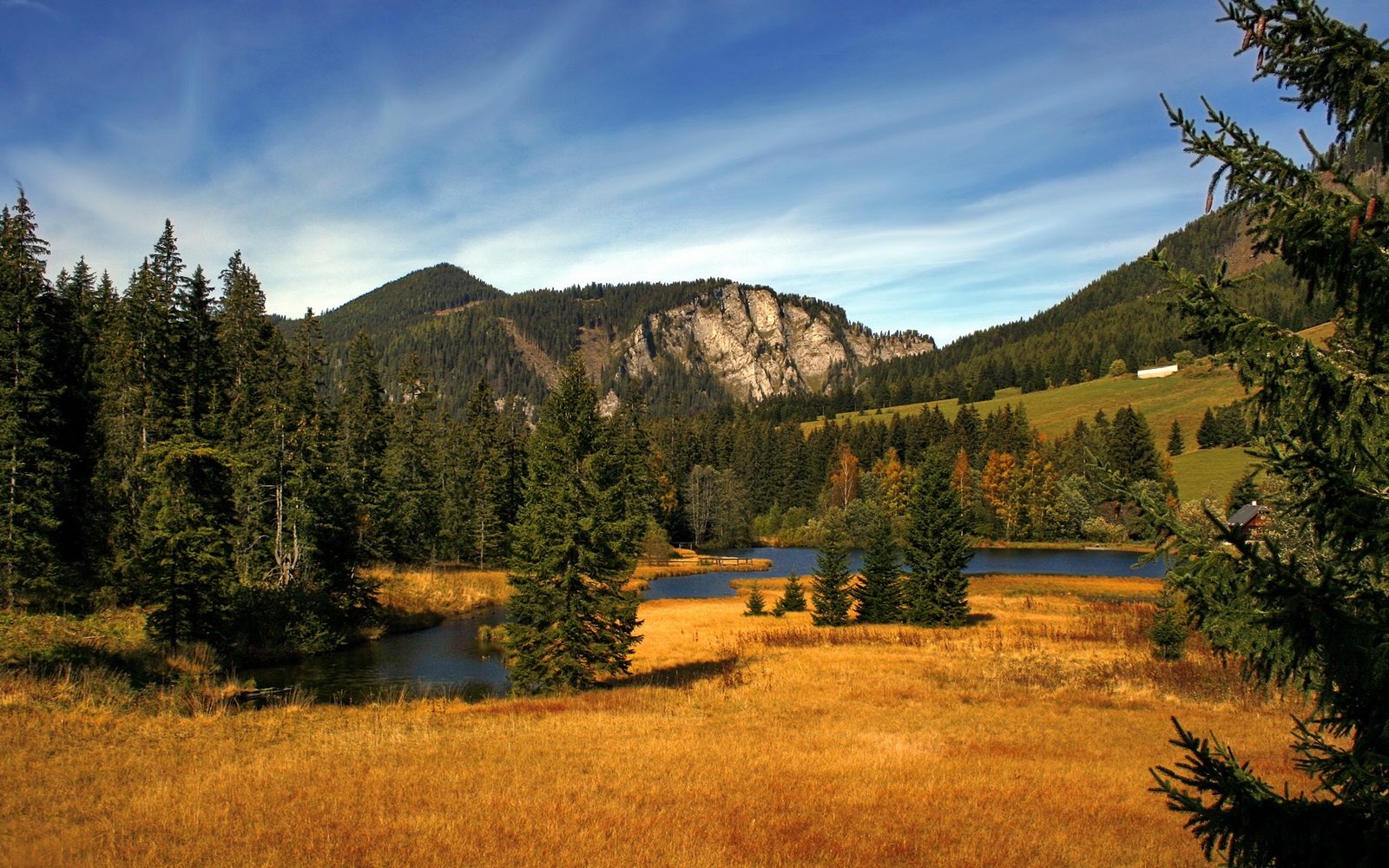 梦幻之战，加纳对阵利物浦，莱万多夫斯基闪耀全场