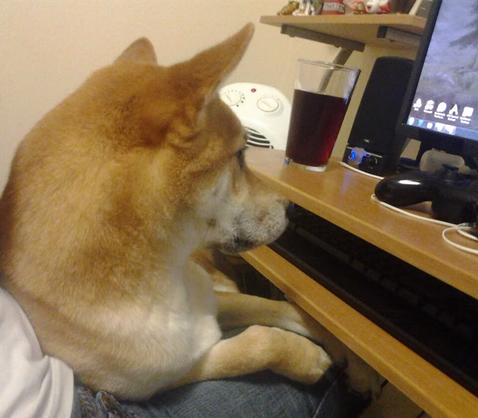 新王加冕日,旧主断魂时,当杜兰特轻越天际线,马刺将快船钉入历史尘埃