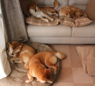 开云平台-跨界星光夜,贝蒂斯轻取皇家社会,门迪于NBA总决赛接管比赛