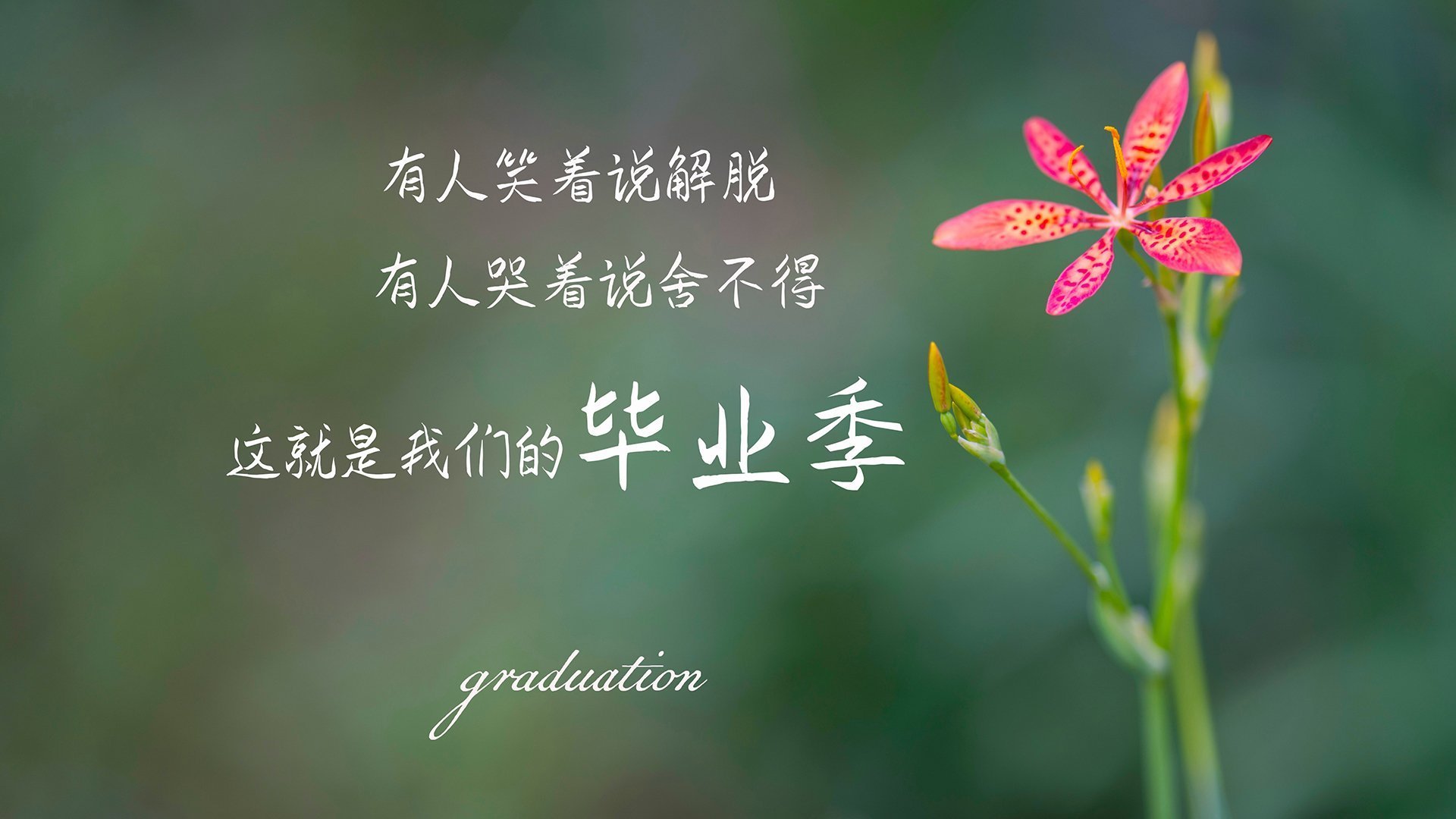 开云体育登录-当魔术不再变幻，一场无法复制的节奏克隆之战