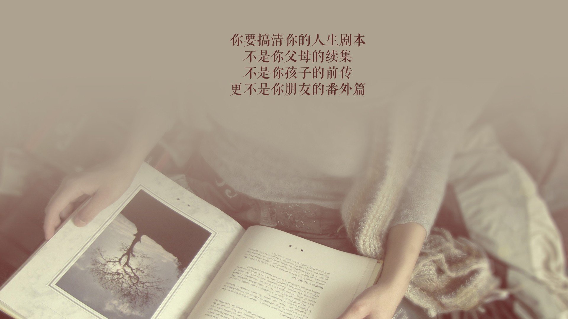 孤星耀世,布罗佐维奇的铁血指令,哥伦比亚如何在2026出线战中将英格兰撕成碎片