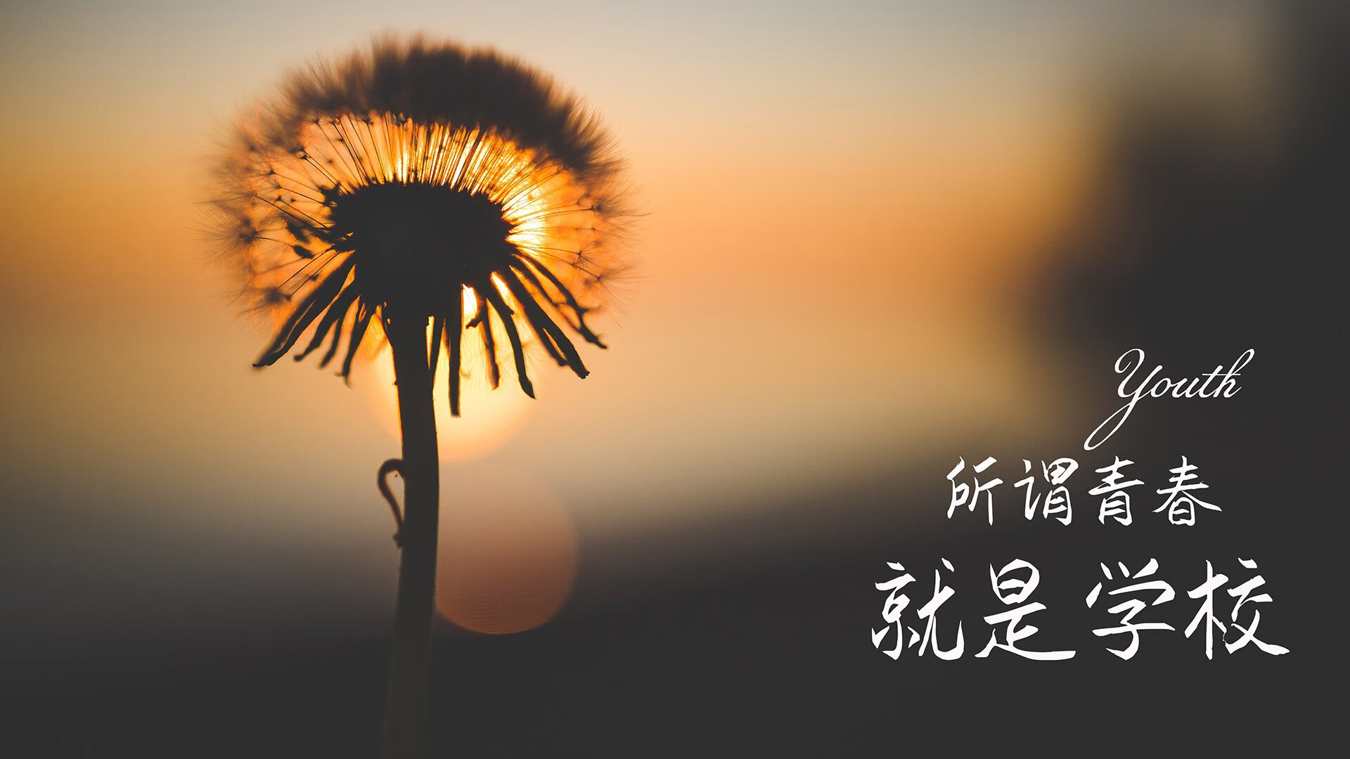 孤独的北极光,阿方索·戴维斯如何用一场完美风暴,照亮2026世界杯A组的暗夜