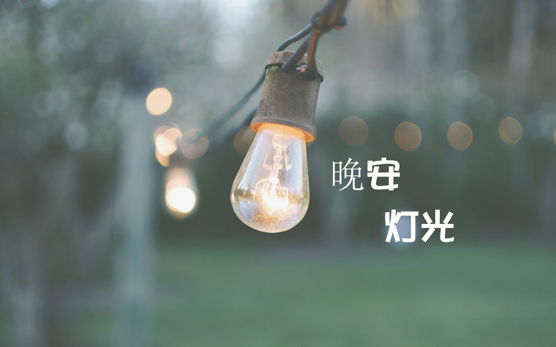 红衫破钟表，范戴克一人定乾坤，智利在2026世界杯E组焦点战中击碎瑞士精密防线